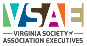 VSAE logo
