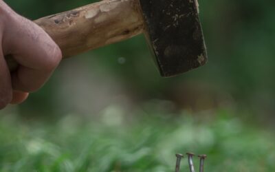 Four Nails in an Organization’s Coffin